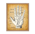 Poster Master Palm Reading Divination Chart - Classic Fortune Teller Decor, Chiromancy Wall Art, Gift for Oddity Palm Readers, P