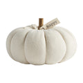 Mud Pie Cream Pumpkin Sitter, Medium, 7 1/2 x 7 1/2 Dia