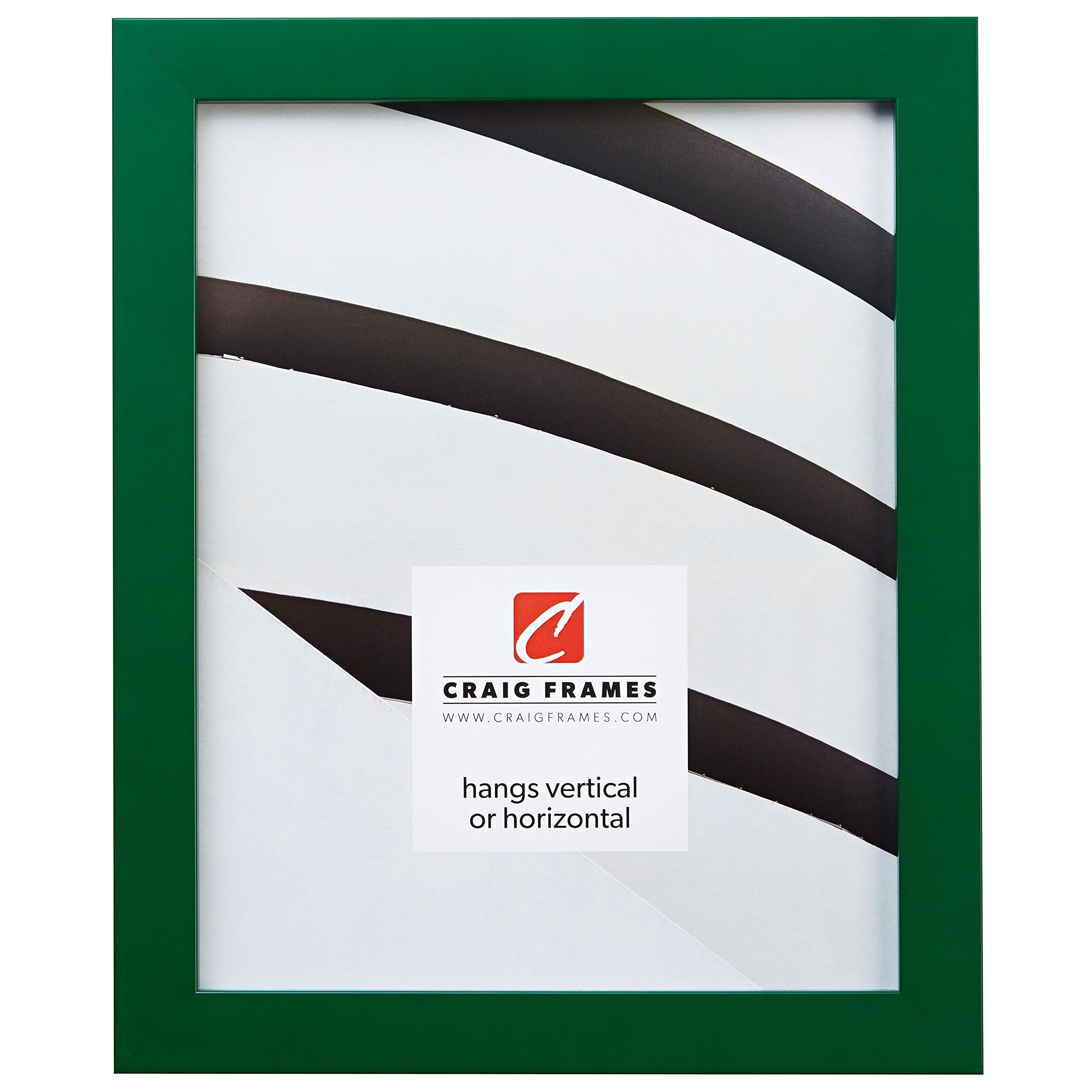 Craig Frames Confetti, Modern Green Picture Frame, 24 x 32 Inch