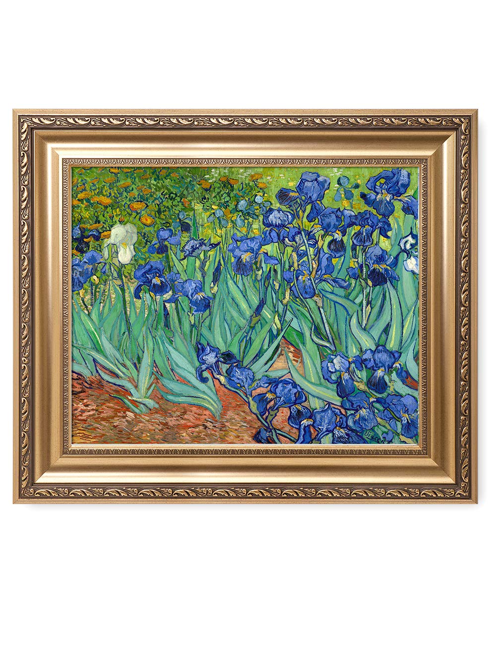 DECORARTS - Irises in the Garden, Vincent Van Gogh Art Reproduction. Giclee Prints Match with Golden Framed for Wall Decor. Pict
