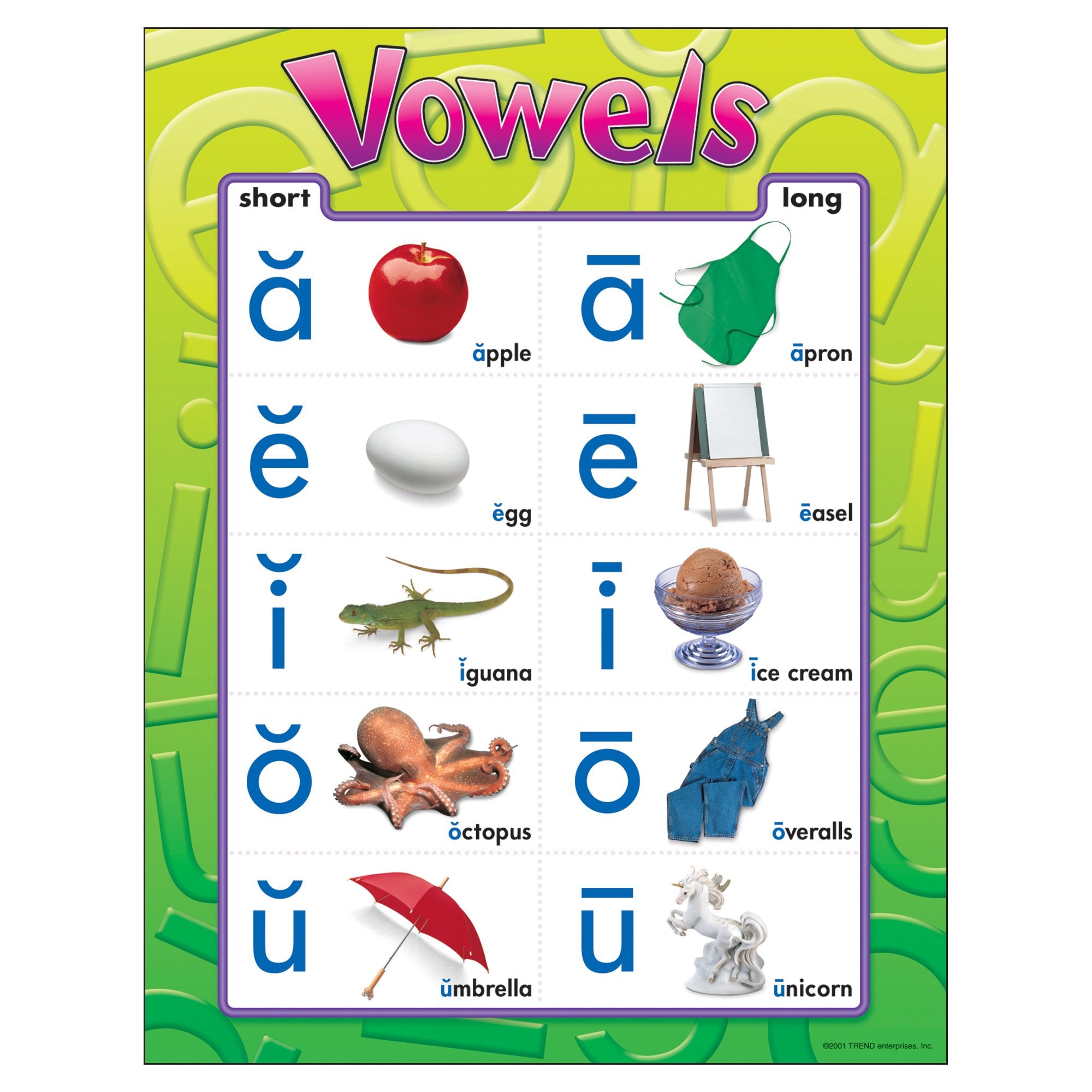 Trend Enterprises, Inc. Vowels Learning Chart, 17' X 22'