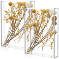 Barydat 2 Pcs Acrylic Shadow Boxes Display Cases, Shadow Box DIY Frame Clear Acrylic Display Box Wedding Memory Box Dried Flower
