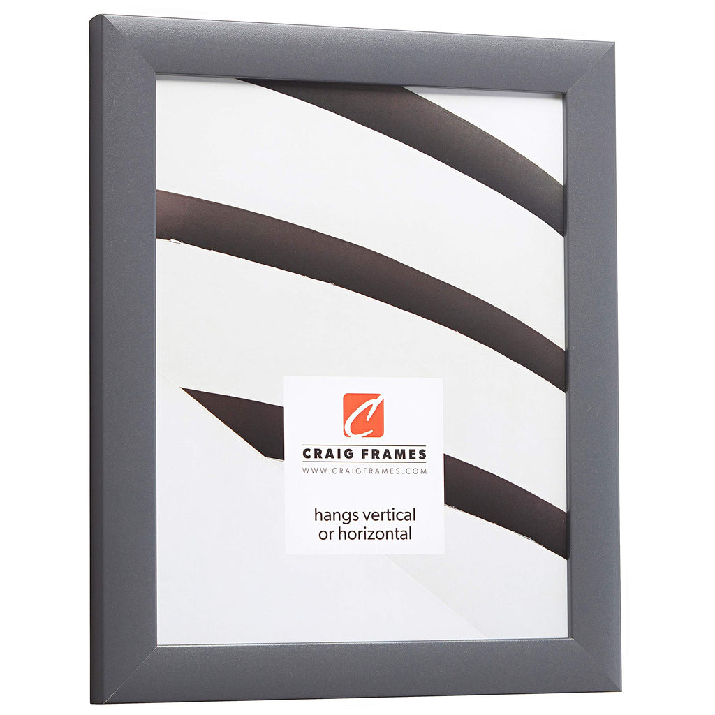 Craig Frames Contemporary Picture Frame, 8.5 X 11 Inch, Grey
