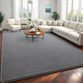 Litopyo Large Modern Area Rugs for Bedroom Livng Room, 5x7 Feet Grey Memory Foam Solid Indoor Carpets, Machine Washable Rugs Min