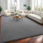 Litopyo Large Modern Area Rugs for Bedroom Livng Room, 5x7 Feet Grey Memory Foam Solid Indoor Carpets, Machine Washable Rugs Min