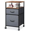 DEVAISE 2 Drawer Mobile File Cabinet, Rolling Printer Stand with Open Storage Shelf, Fabric Vertical Filing Cabinet fits A4 or L