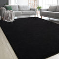 Zedrew Black Area Rugs For Bedroom Living Room, 5X7 Feet Indoor Memory Foam Rug, Modern Washable Rugs For Kids Boys Girls Room,
