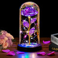 Valentines Day Gifts for Her , Valentines Rose Flowers Gifts for Women Mom Wife Girlfriend Wife Daughter Grandma,Light Up Rose I