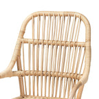 Baxton Studio Sumatera Modern Bohemian Natural Brown Rattan 2-Piece Dining Chair Set