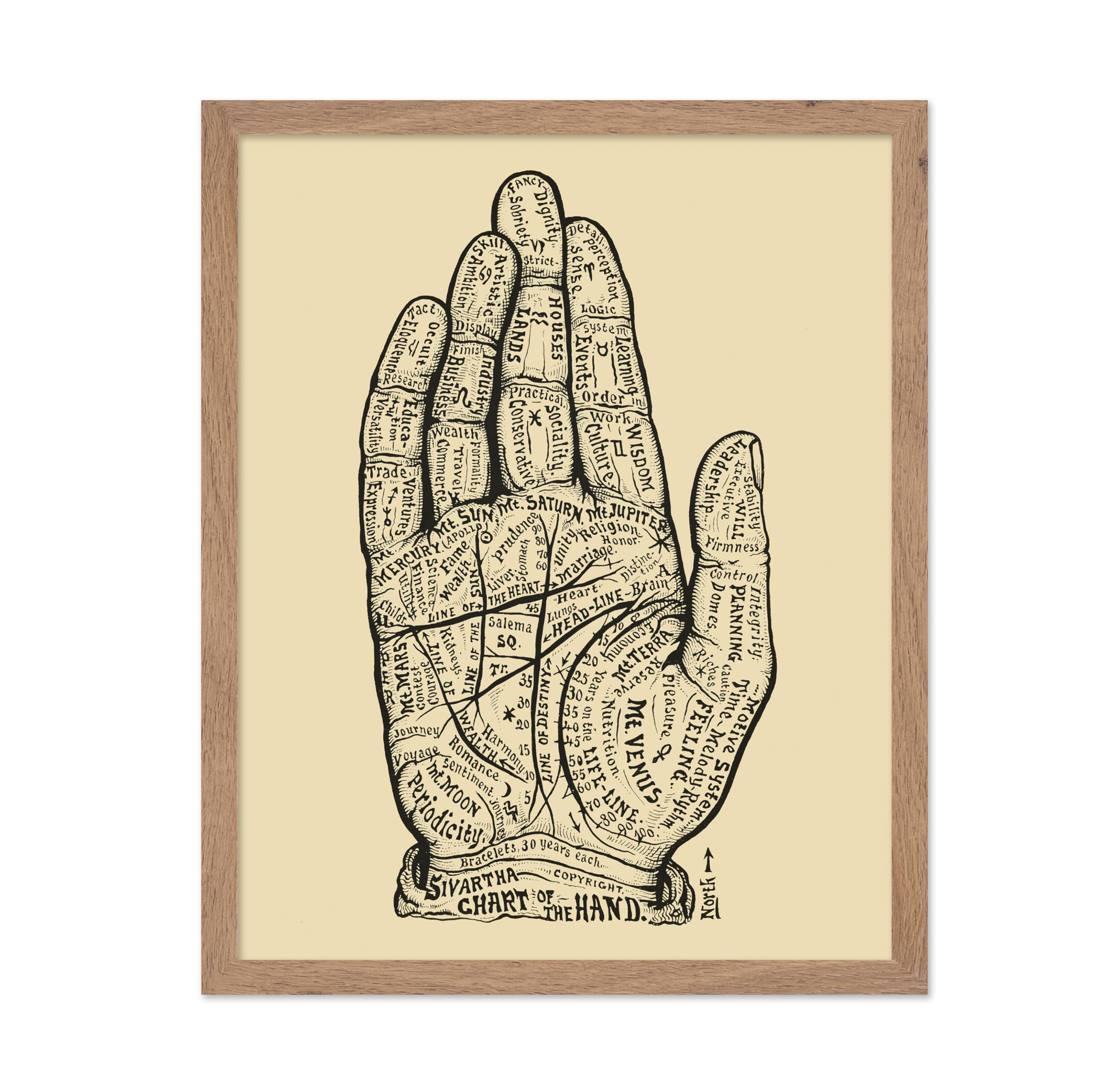 Poster Master Classic Alesha Sivartha Poster - Vintage Anatomy Print - Gift for Artist, Friend - Chart of the Hand, Book of Life