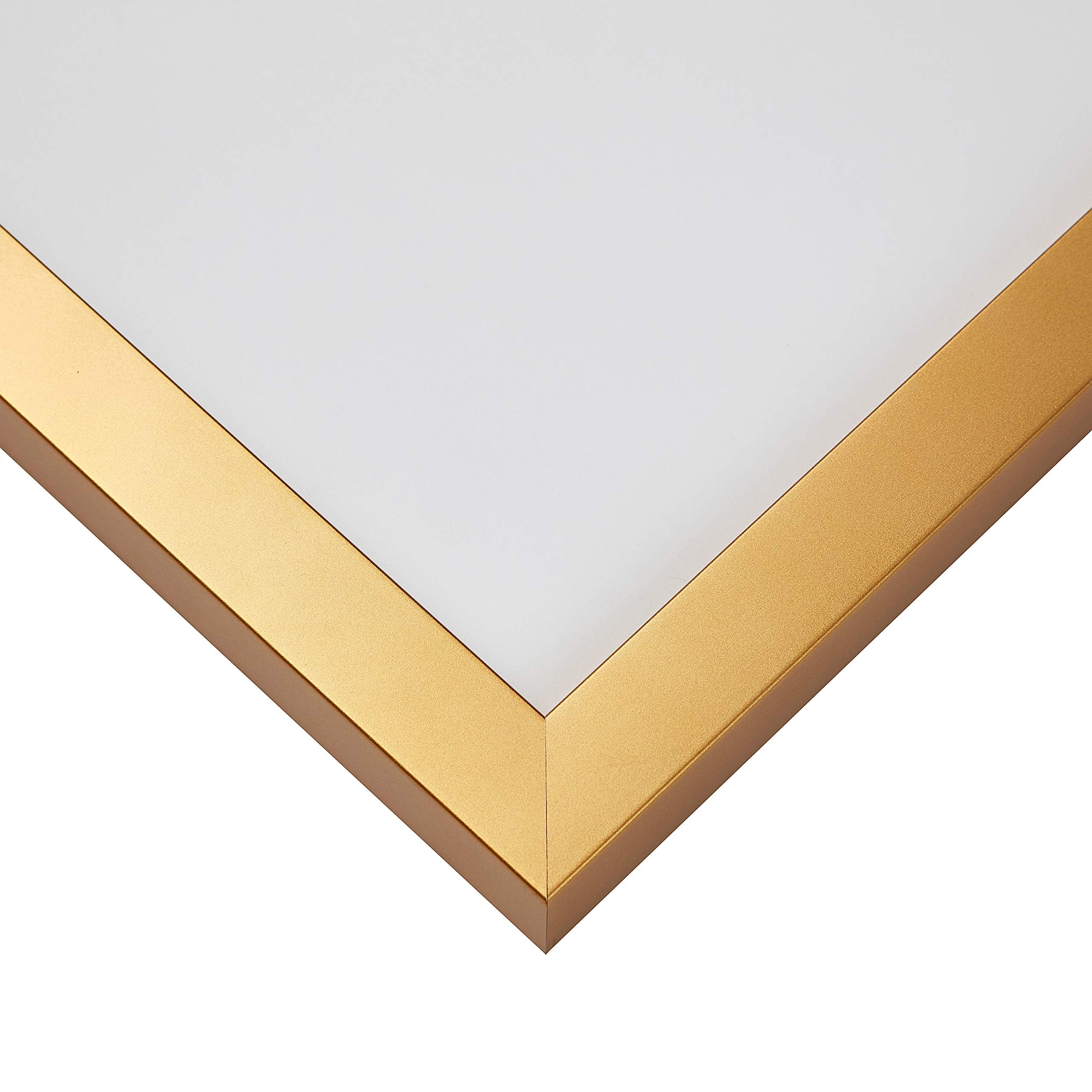 Craig Frames Confetti, Modern Gold Picture Frame, 10 X 13 Inch