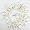 PEPPERLONELY 20 PC White Center Cut Cerithium vertagus Sea Shells, 1-1/2 Inch ~ 2 Inch