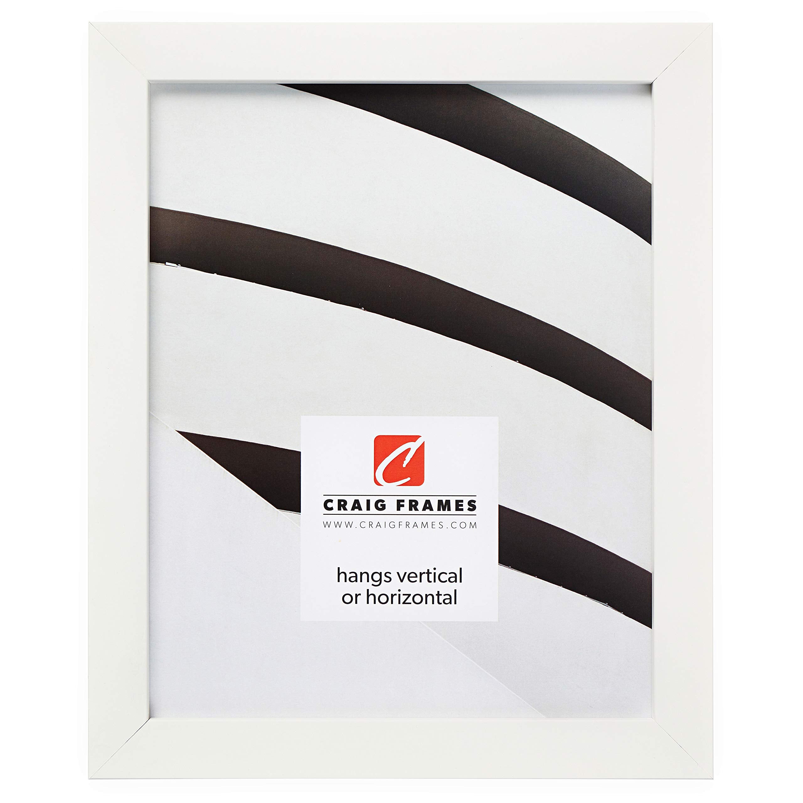 Craig Frames Confetti, Modern White Picture Frame, 16 x 24 Inch