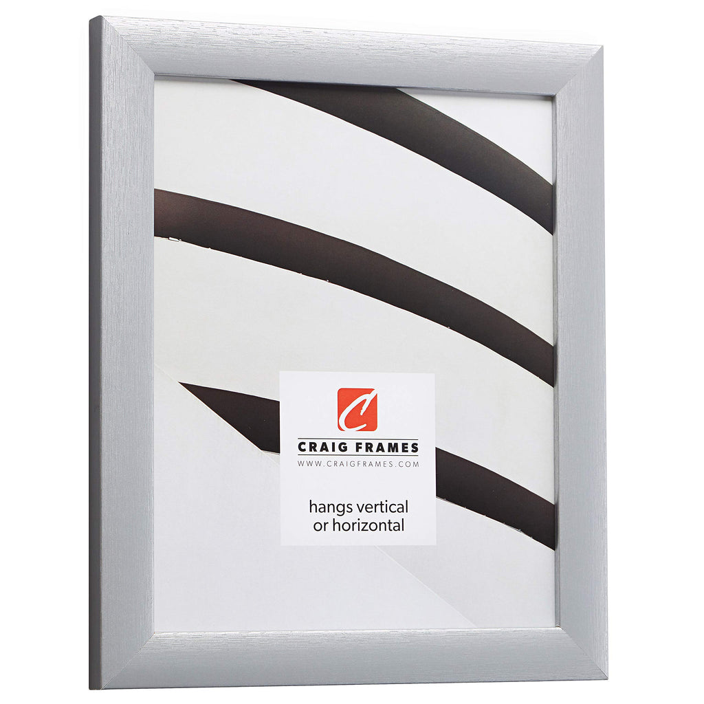 Craig Frames Contemporary Picture Frame, 10 X 13 Inch, Brushed Silver