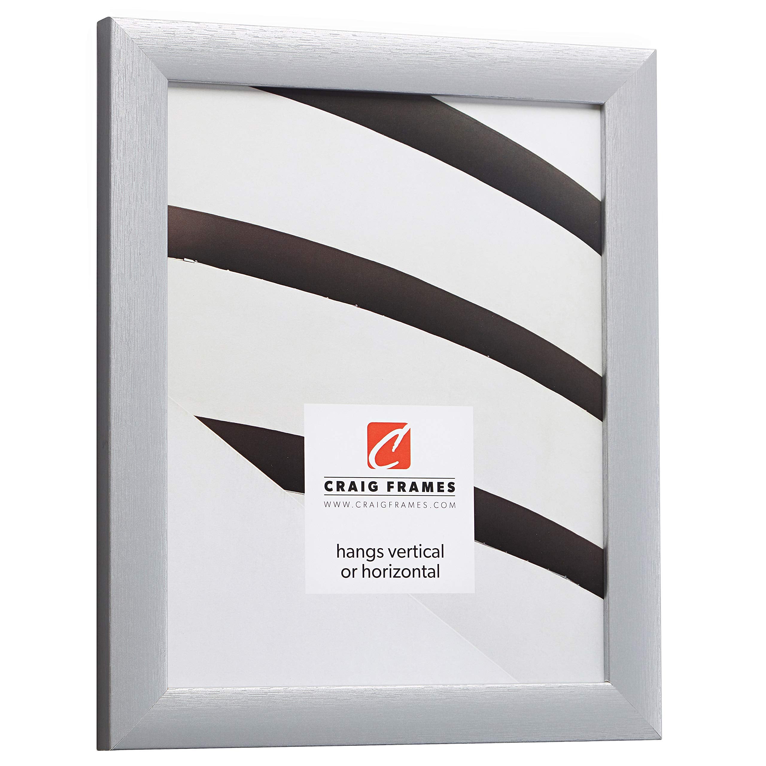 Craig Frames Contemporary Picture Frame, 20 X 28 Inch, Brushed Silver