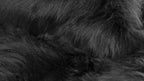 HomeRoots Decor 60-inch x 96-inch Black, Sheepskin - Rug/Throw