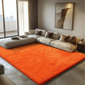 6x9 Fluffy Area Rug for Living Room,Shag Area Rugs for Bedroom,Orange Soft Fuzzy Rug Non-Shedding Indoor Plush Carpet for Kids B