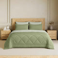 Enera Plush Double Bed Comforter | 220 Gsm Reversible Quilt | Soft, Lightweight & Breathable AllSeason Ac Blanket | Microfiber 
