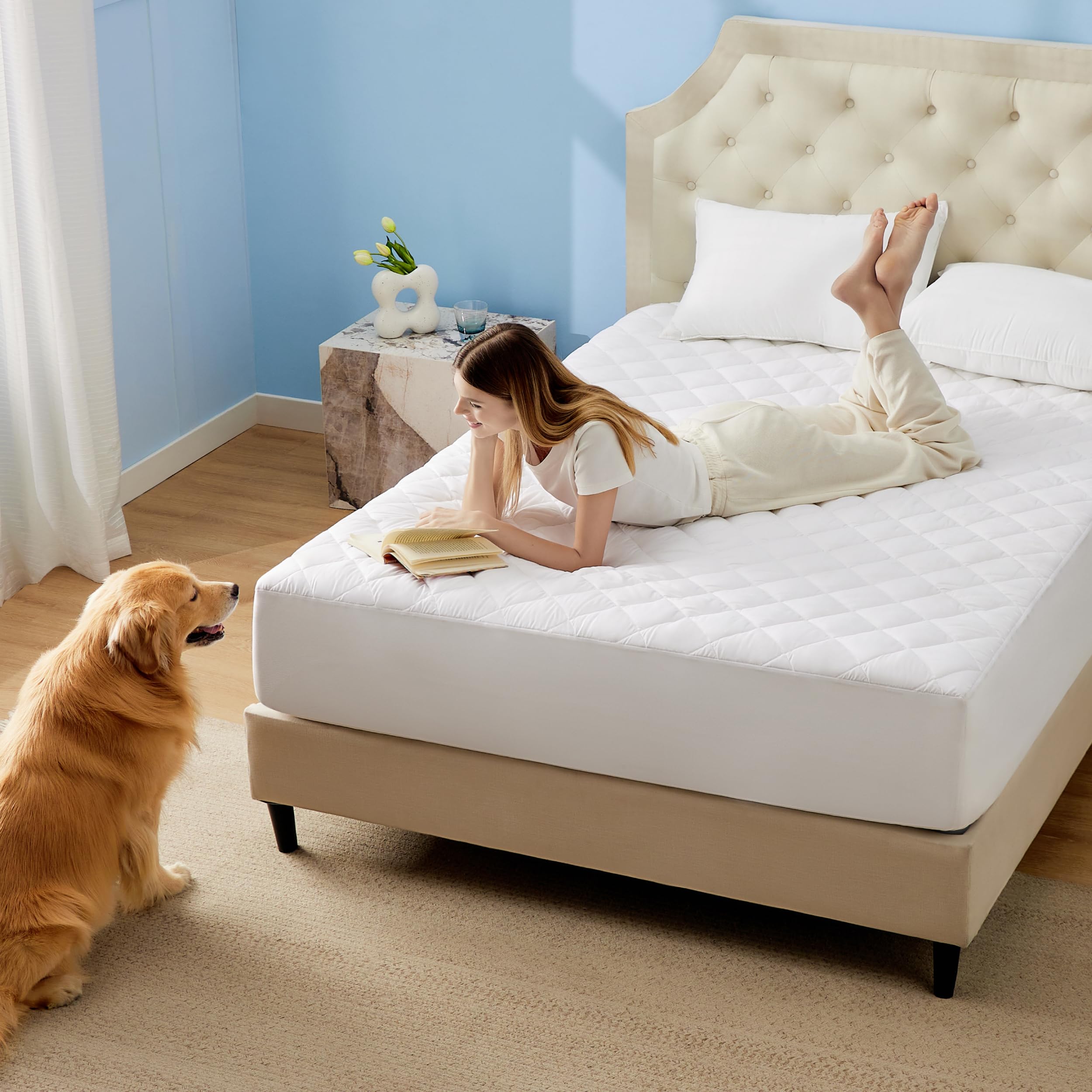 Bedsure Queen Mattress Protector, Quilted Waterproof Mattress Protector With Deep Pocket Up To 22 Inches, Soft Breathable Noiseless Bed Pad Topper, Queen Bed Cover For Home, Bedroom, Hotel ?White