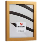 Craig Frames Confetti, Modern Gold Picture Frame, 10 X 12 Inch