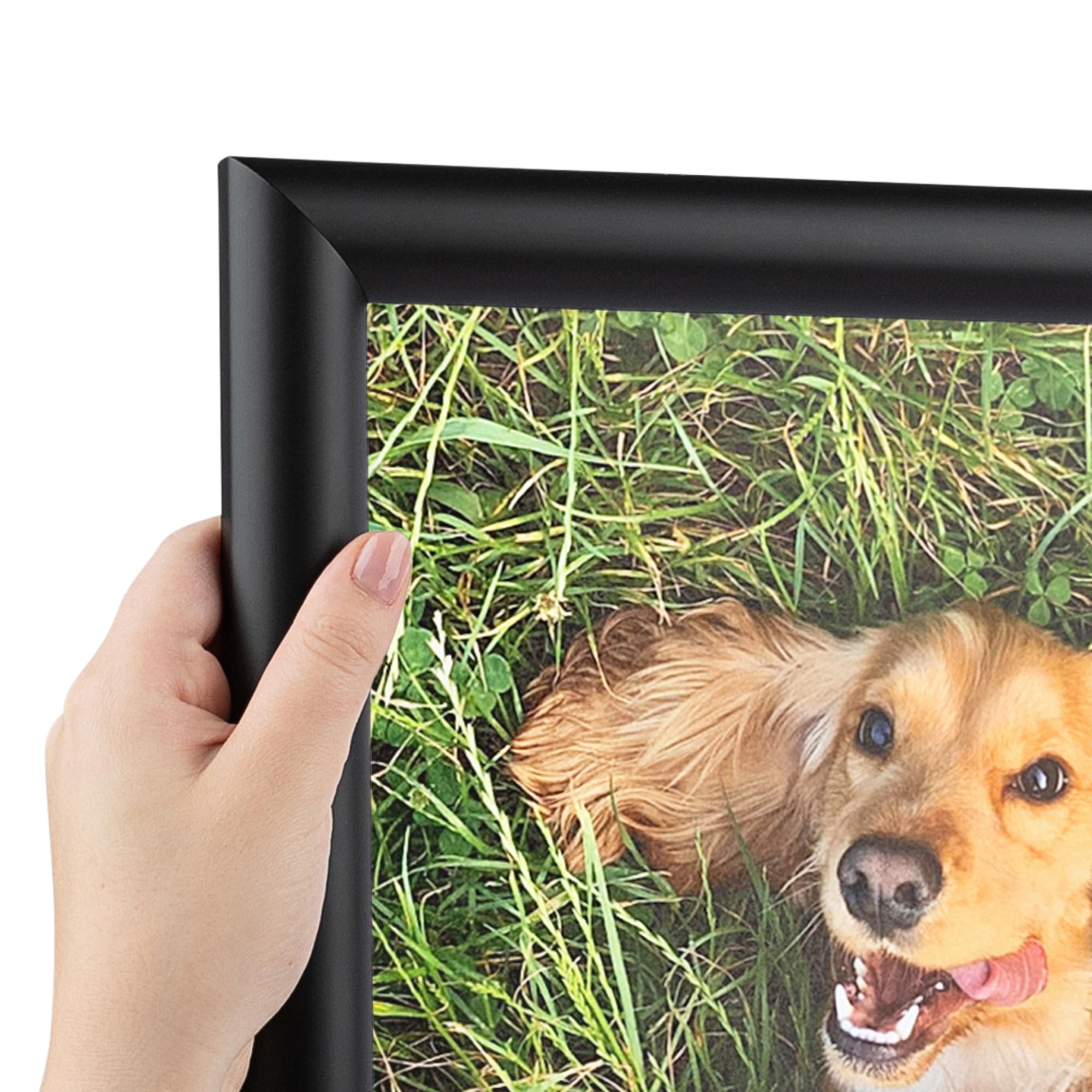 ArtToFrames 18x33 inch 1.25 Satin Black Bull Nose Wood Picture Frame, 2WOM10025-18x33