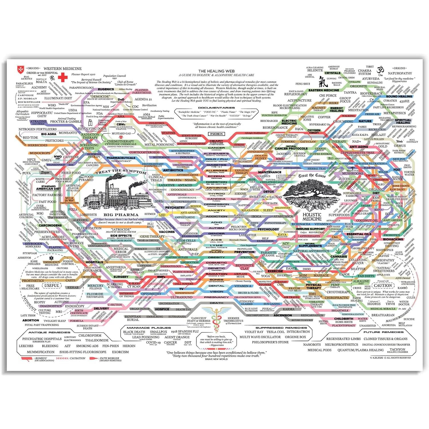 Generic The Healing Web Poster - Natural Remedies Chart 12x18inch-Framed