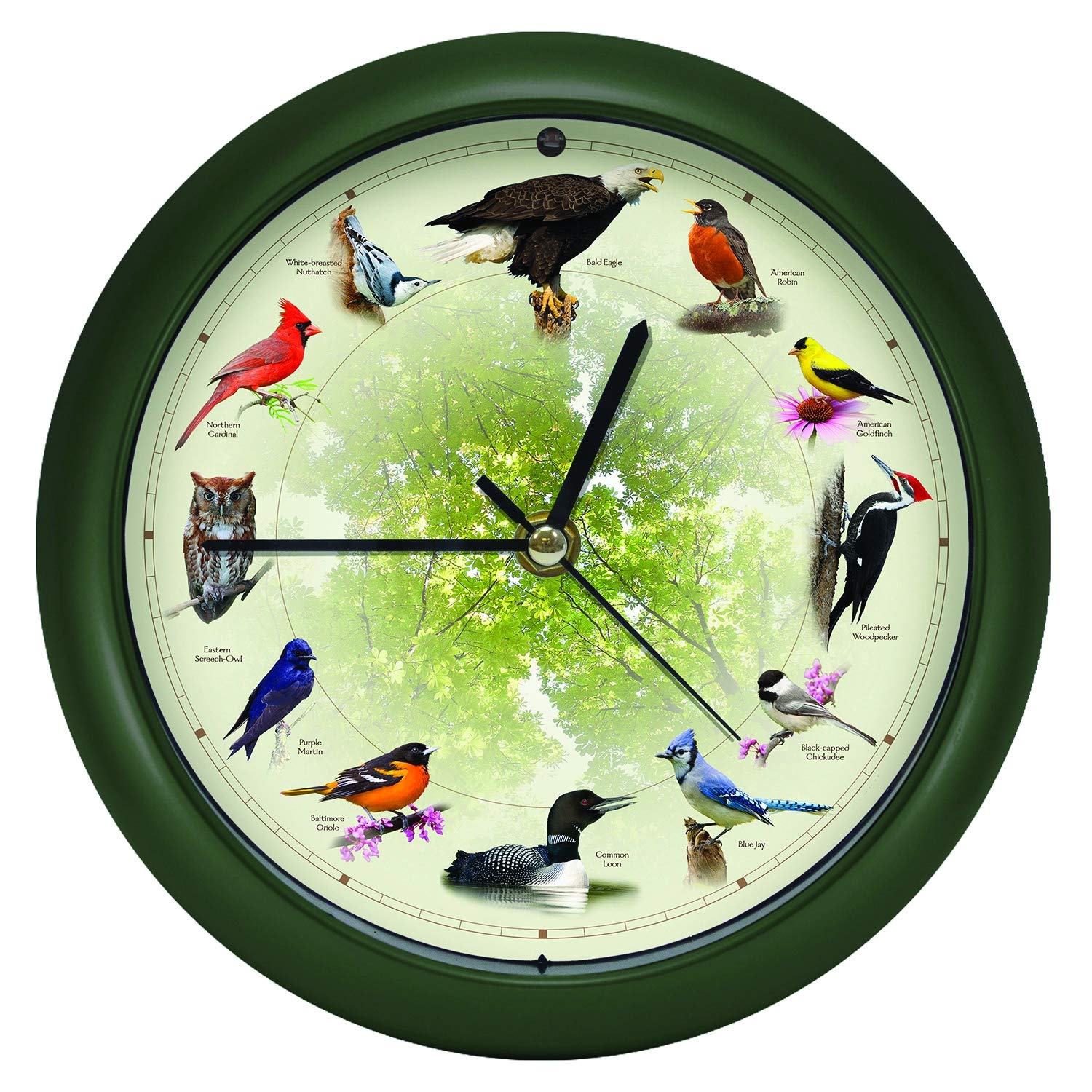 Mark Feldstein Original Singing Bird Clock, 10.7-Inch