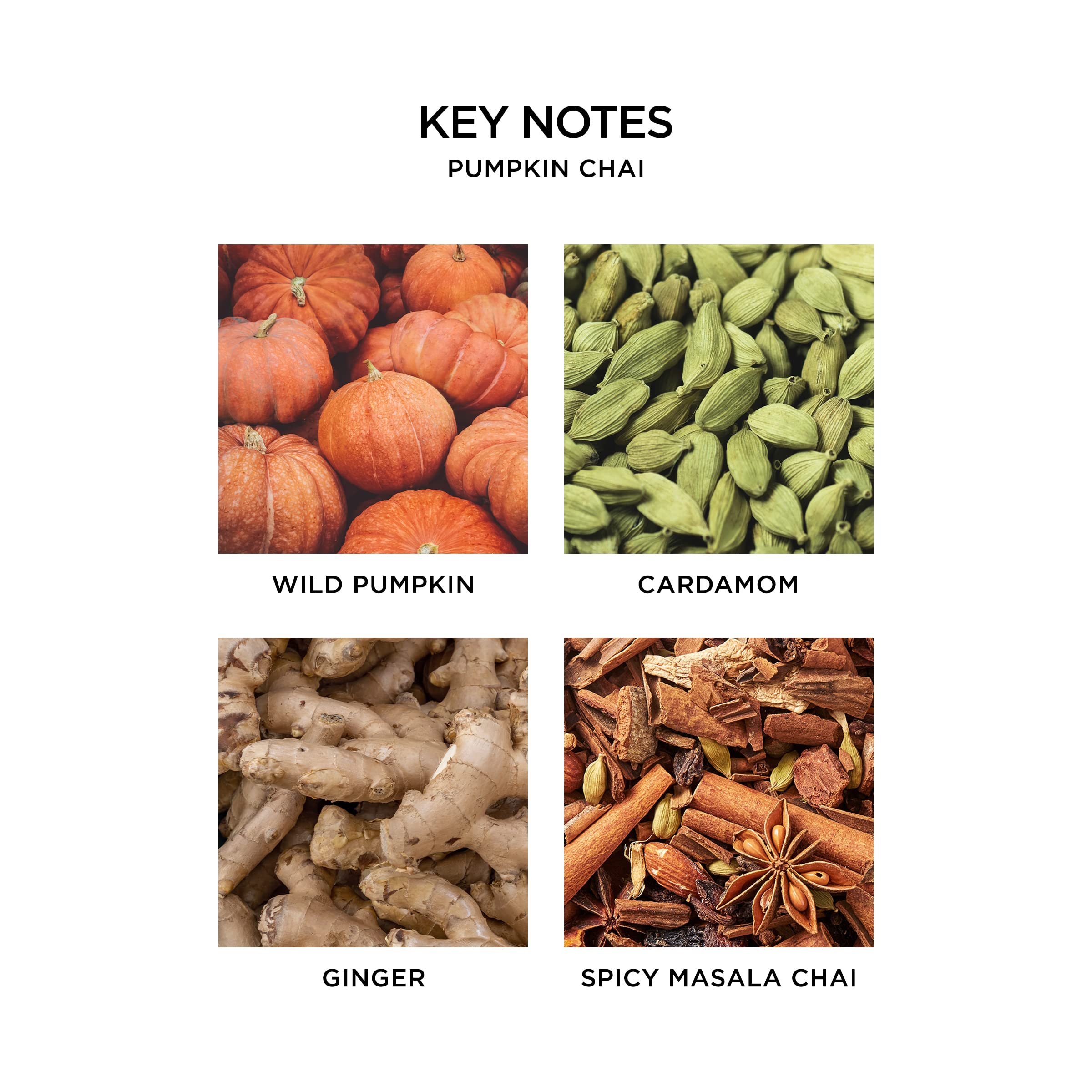 Nest Fragrances Reed Diffuser- Pumpkin Chai , 5.9 Fl Oz - Nest08Pc002