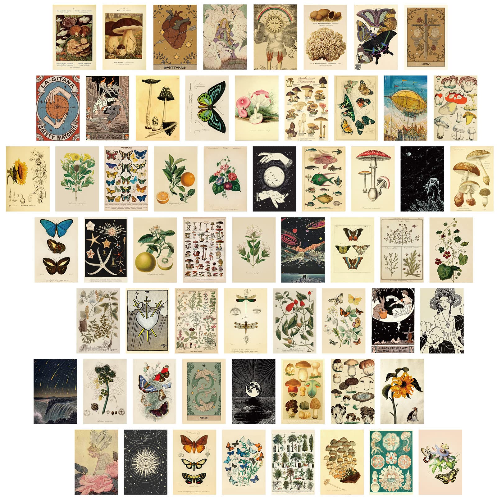 Containlol 60 Pcs Vintage Wall Collage Kit Botanical Illustration Tarot Aesthetic Print Vintage Wall Prints Vintage Cards Photo 