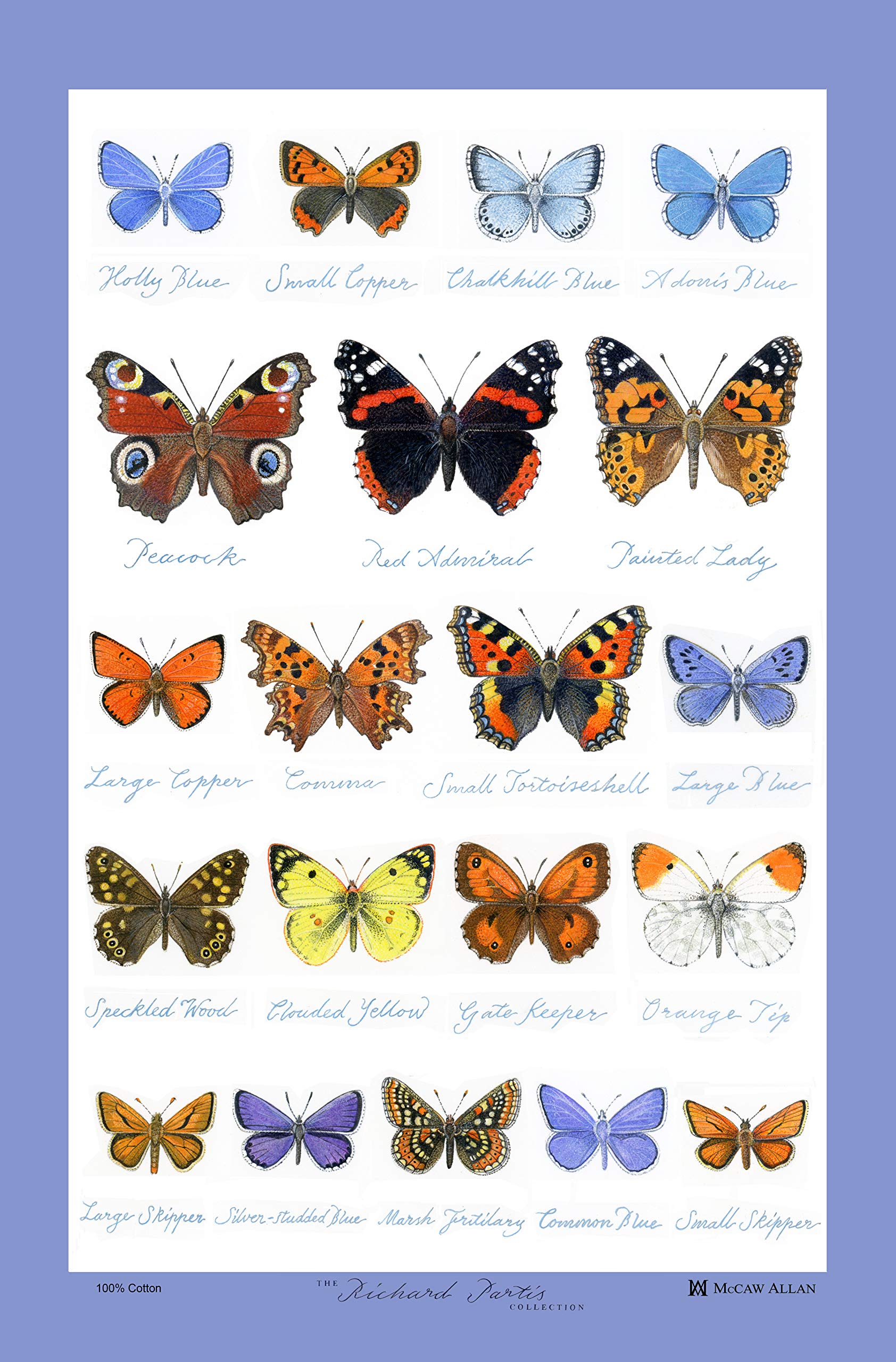 Samuel Lamont 986C Glencoe Butterflies Tea Towel, Cotton