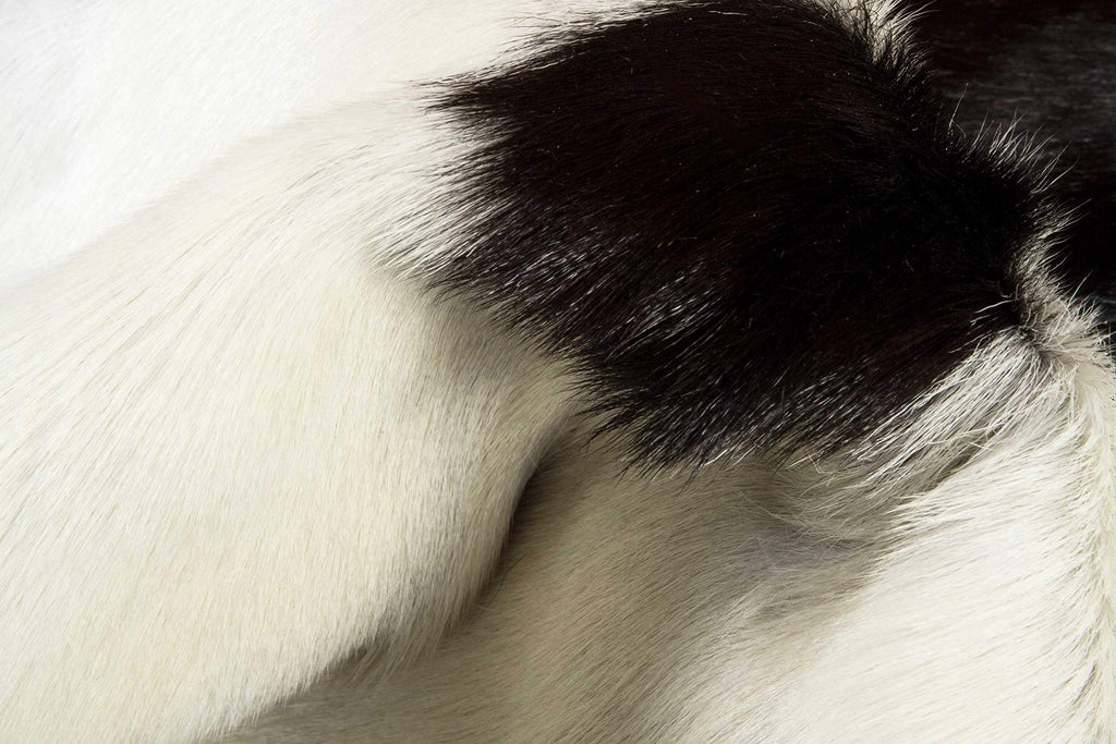 HomeRoots 316980 2 x 3 in. Calfskin Rug - White & Chocolate