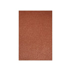 Pet Friendly Solid Color Area Rugs Rust - 2' x 4' Rectangle, Indoor, Stain Resistant, Perfect for Living Room, Bedroom, Dining R