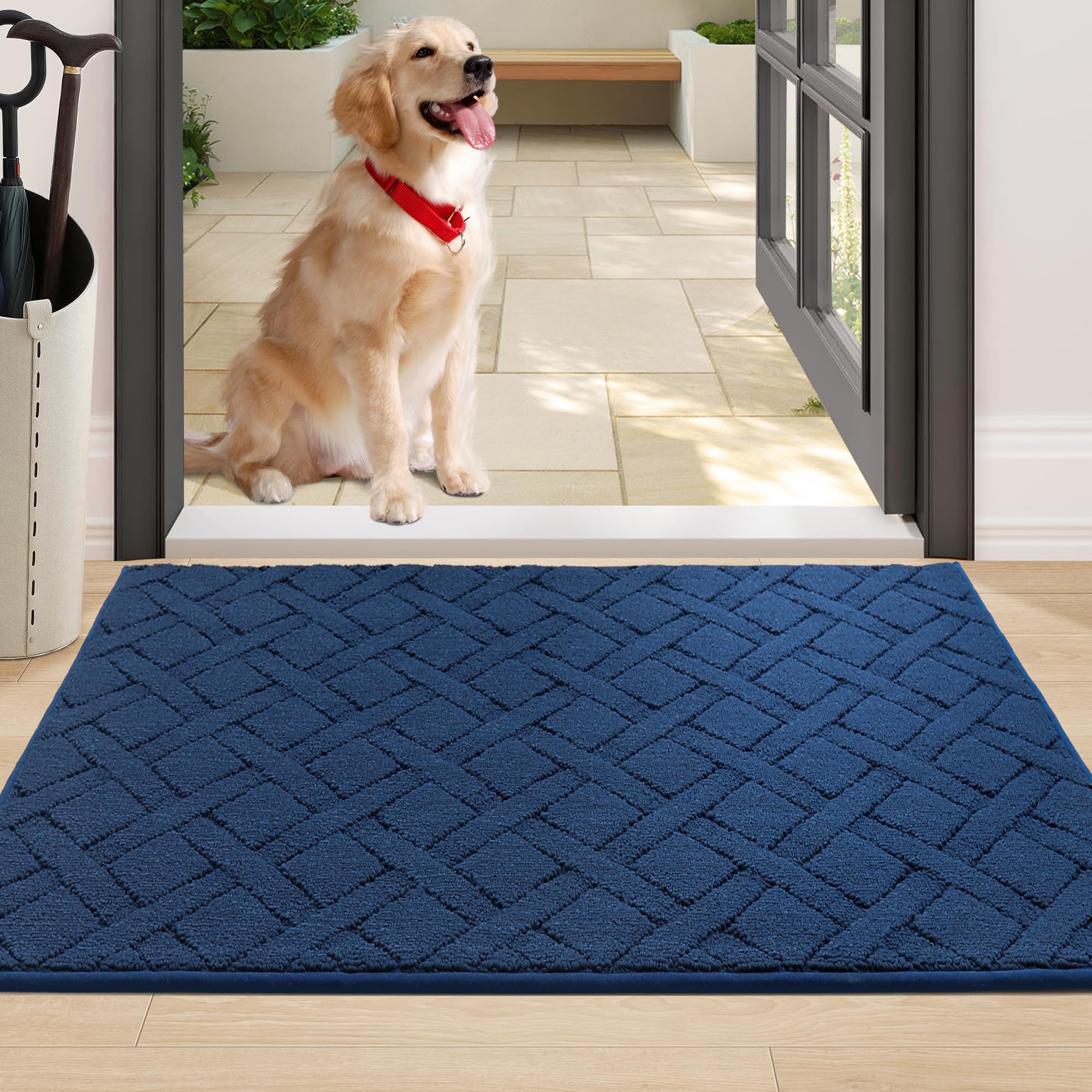 Cosy Homeer Dog Door Mat, Absorbs Moisture And Dirt, Non-Slip Washable, Polypropylene Entry Mat (32X48 Inches, Blue)