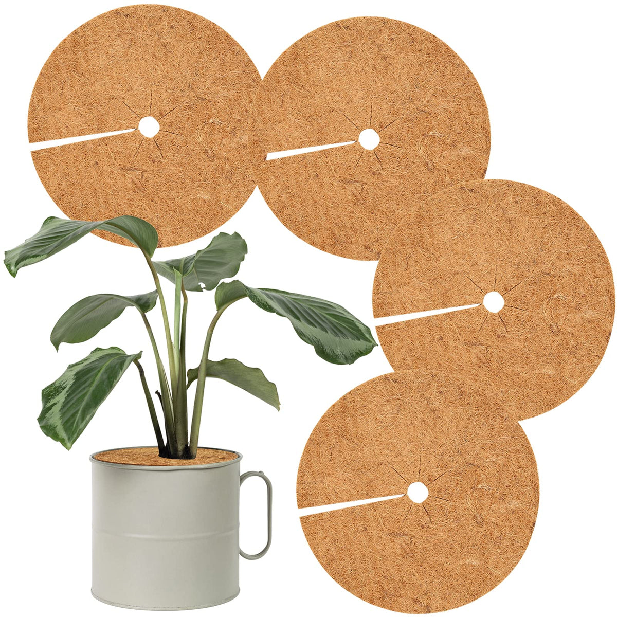 Legigo 4Pcs Coconut Fibers Tree Mulch Ring Mat- 24 Inch Natural Coco Coir Tree Protection Weed Mats For Cypress, Landscaping, Tr