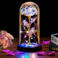 Thrjia Valentines Day Gifts for Her, Valentines Rose Flowers Gifts for Women Mom Wife Girlfriend Wife Daughter Grandma,Light Up 