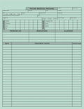 Tabbies Veterinary Feline Medical Record Form, Green, 2-Sided, Heavy 100Lb Stock, 8-1/2'W X 11'H, 250 Per Pack