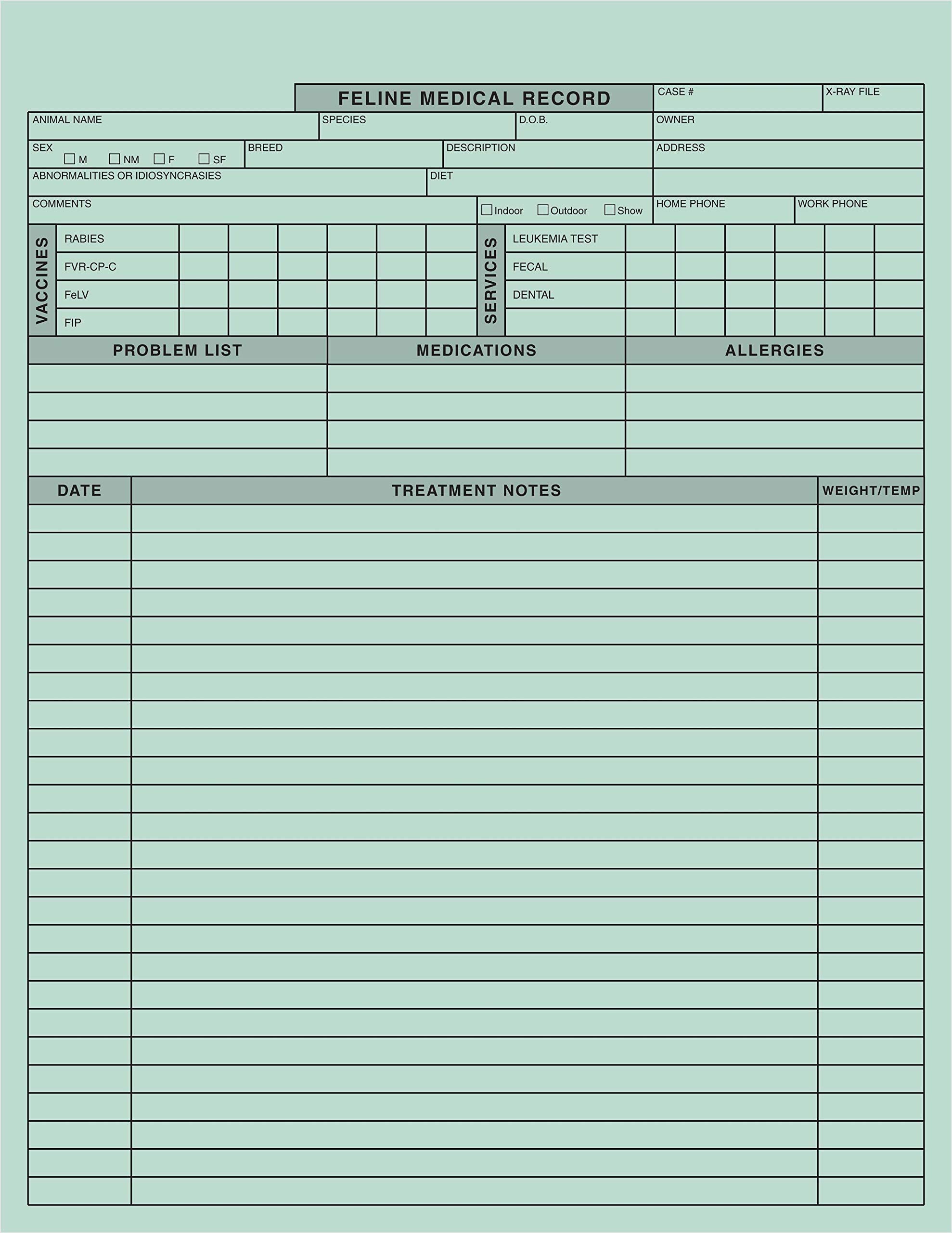 Tabbies Veterinary Feline Medical Record Form, Green, 2-Sided, Heavy 100Lb Stock, 8-1/2'W X 11'H, 250 Per Pack