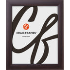 Craig Frames Contemporary, 18x32 Picture Frame, Brazilian Walnut