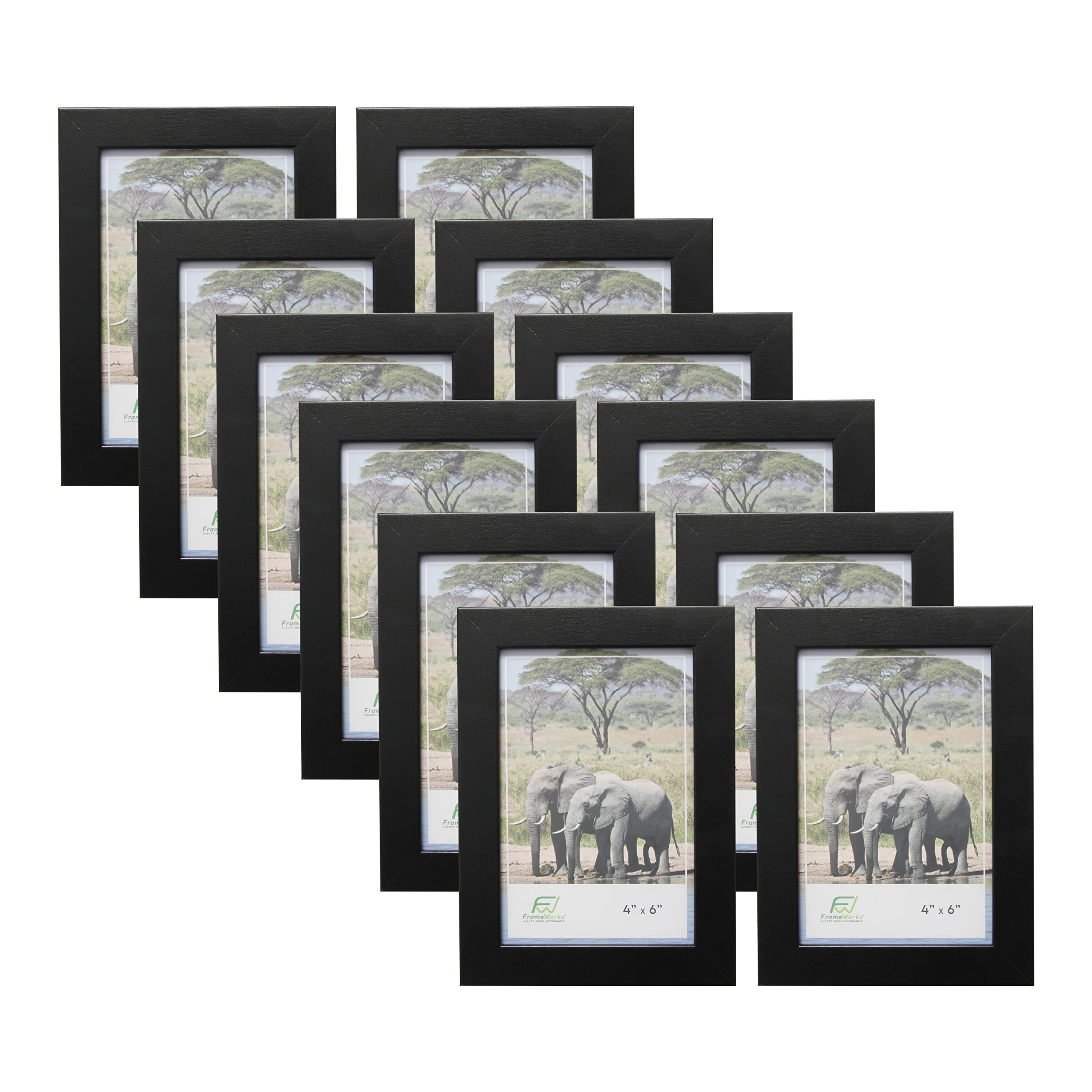 FrameWorks Value 12-Pack 4    x 6    Classic Black Gallery Style Picture Frames