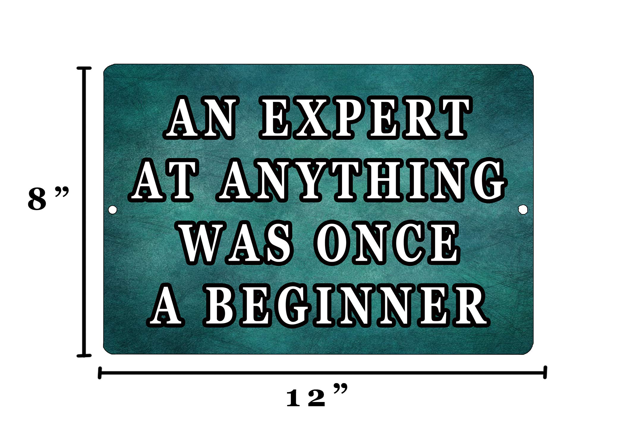 Motivational Saying Expert Beginner Metal Tin Sign Wall Decor Man Cave Bar