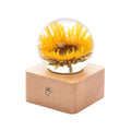 MISS LI GARDEN Forever Teddy Sunflower Crystal Ball with LED Lights,Best Gifts for Her Wife Girlfriend Women, Anniversary, Mothe