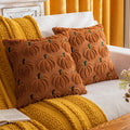 COSIBONO Pumpkin Fall Decorative Throw Pillow Covers 18'x18', Set of 2 Rust Green Soft Faux Fur Pillow Covers for Autumn Harve