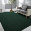 Hutha Large Area Rugs for Bedroom Living Room, 7x10 Dark Green Solid Fluffy Super Soft Memory-Foam Furry Bedside Carpet, Modern 