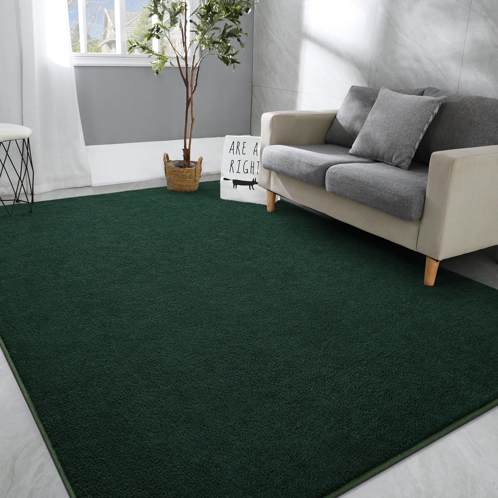 Hutha Large Area Rugs for Bedroom Living Room, 7x10 Dark Green Solid Fluffy Super Soft Memory-Foam Furry Bedside Carpet, Modern 