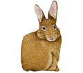 Manual Woodworkers & Weavers Bunny Hop Hare Raising Rabbit Shaped Pillow, 17.5,