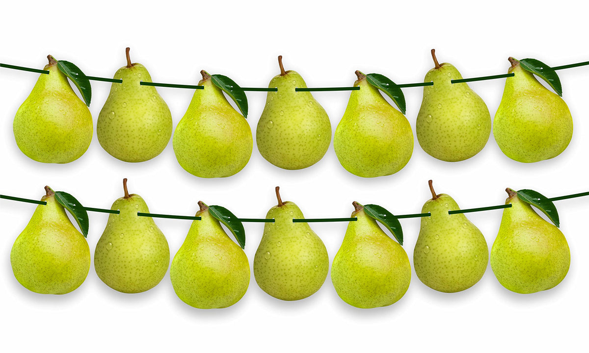 Seyal Birthday Party Decoration  Pear Garland Decoration