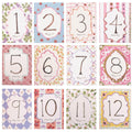 Baby Boy/Girl Monthly Milestone Cards - First Holiday Cards,First Year Month Photo Milestone Cards,Baby Shower Newborn Photo Pro