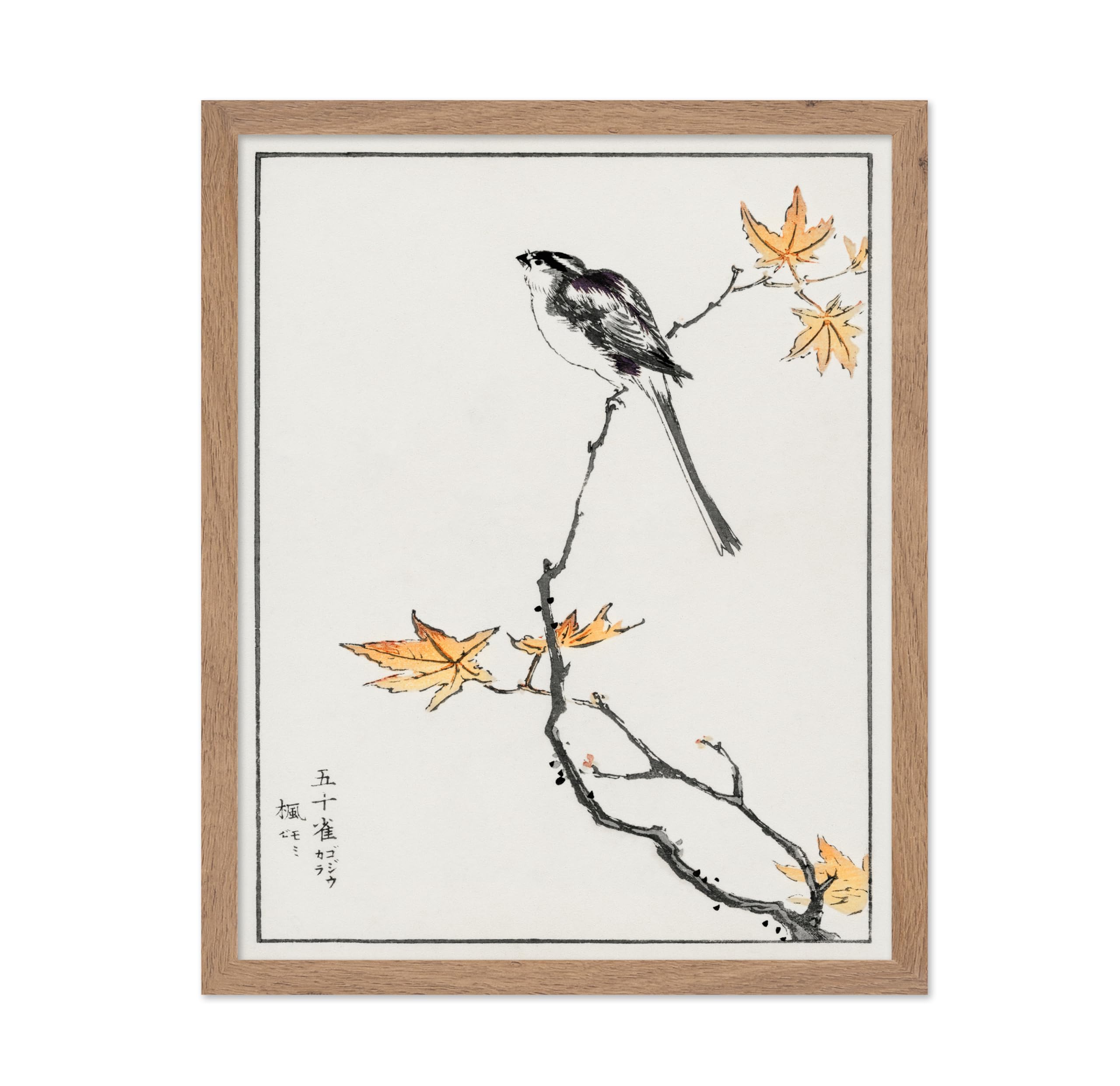 Poster Master Vintage Poster - Retro Drawing Print - Gift for Artist, Friend - Long Tailed Tit & Maple Tree, Bird, Leaves, Branc