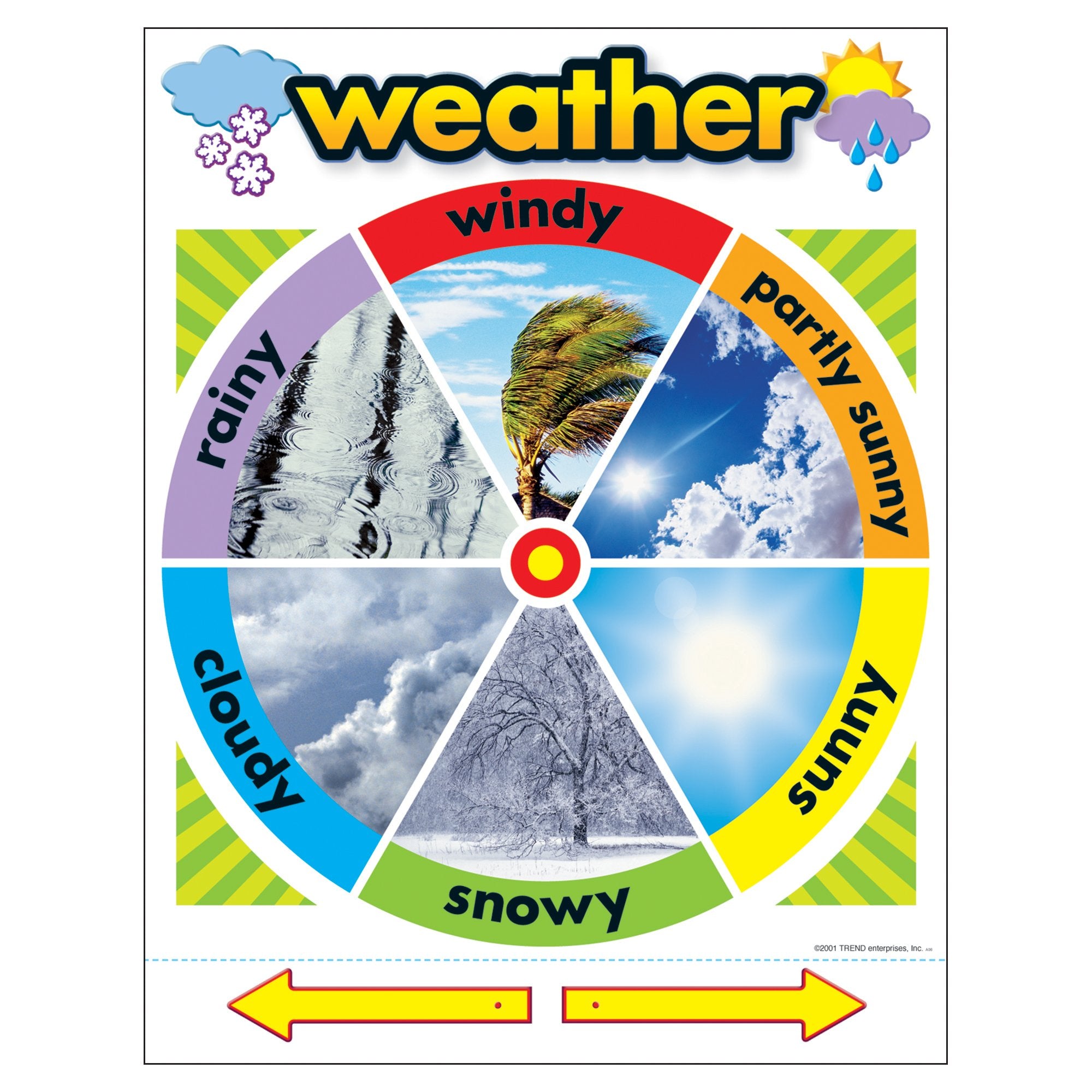 Trend Weather Learning Chart, Classroom Decor, 17' X 22'
