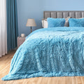 Gonaap Fuzzy Faux Fur Throw Blanket Queen Size Sky Blue Super Soft Cozy Plush Fuzzy Shaggy Blanket For Couch Sofa Bed (Sky Blue,